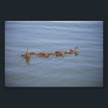 Photo 6x4 Kodak Paper<br><div class="desc">Mother duck and her brood.</div>