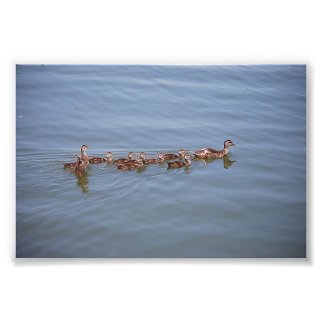 Photo 6x4 Kodak Paper Print (Front)