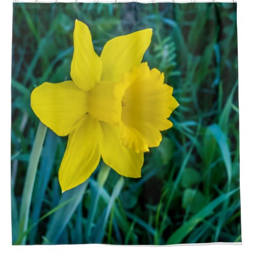 Photo a Yellow Daffodil Shower Curtain