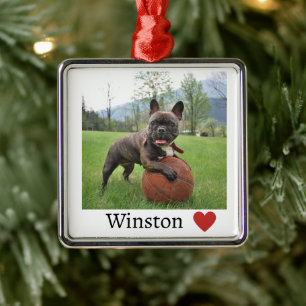 Photo and Name French Bulldog Dog Metal Ornament