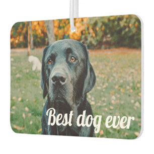 Photo and Text Custom Personalized Air Freshener