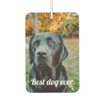 Photo and Text Custom Personalized