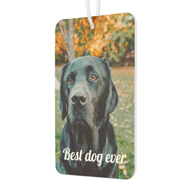 Photo and Text Custom Personalized Air Freshener (Left)