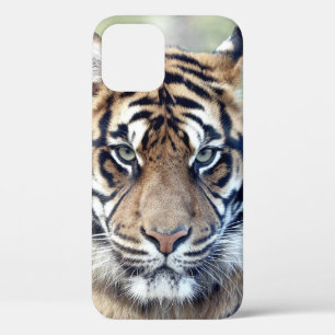Photo , animals , tiger , tigre . Case-Mate iPhon iPhone 12 Pro Case