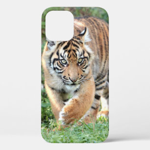 Photo , animals , tiger , tigre . Case-Mate iPhon iPhone 12 Pro Case