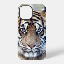 Photo  , animals , tiger , tigre . Case-Mate iPhon