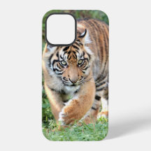 Photo  , animals , tiger , tigre . Case-Mate iPhon