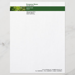 Photo Band - Trees Letterhead