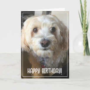Photo Birthday Card
