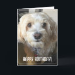 Photo Birthday Card<br><div class="desc">Make your birthday wishes extra special with this personalized photo card. Upload your own favorite photo and customize the text on the inside of the card.</div>
