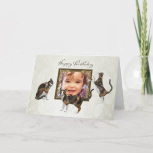 Photo Birthday card with playful cats