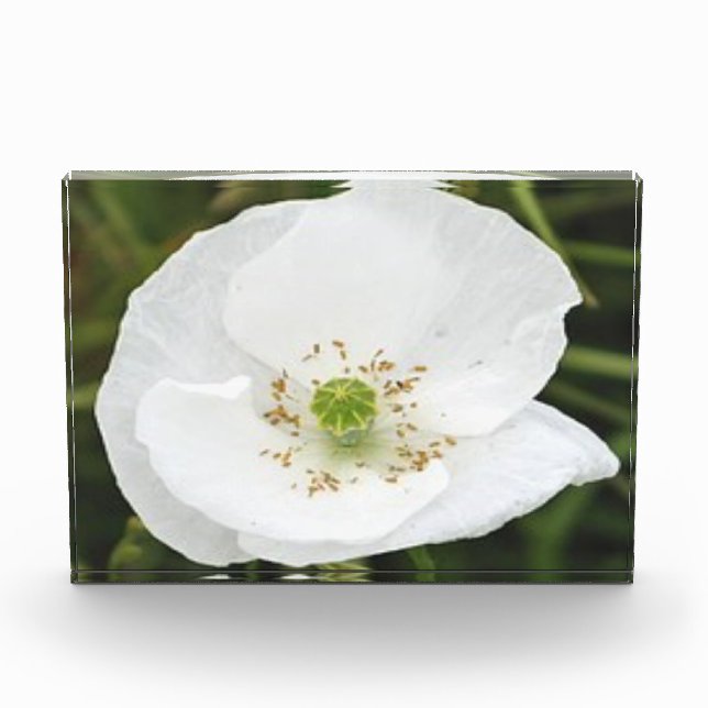 Photo block with flowers (Front)