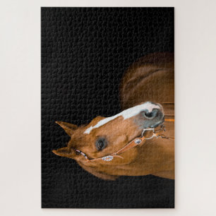 Photo Brown White Quarter Horse Black Jigsaw Puzzle