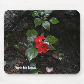Photo by John Tammaro Mouse Pad