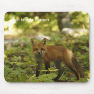 Photo by John Tammaro Mouse Pad