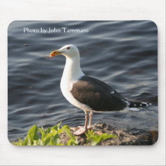 Photo by John Tammaro Mouse Pad