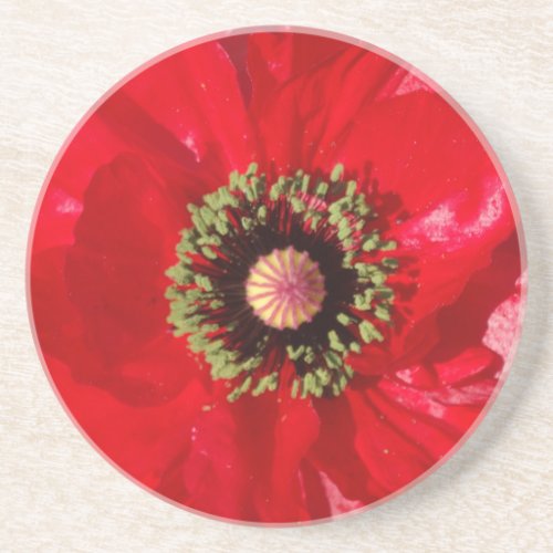 Photo California Red Poppy flower  Coaster