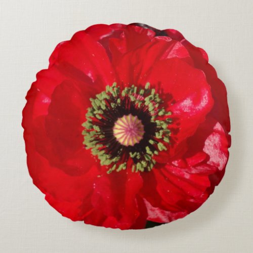 Photo California Red Poppy flower Round Pillow