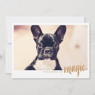 Photo card It's a kind of magic