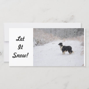 photo card - Let It Snow!