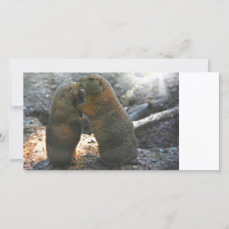 Photo card with cute marmot couple
