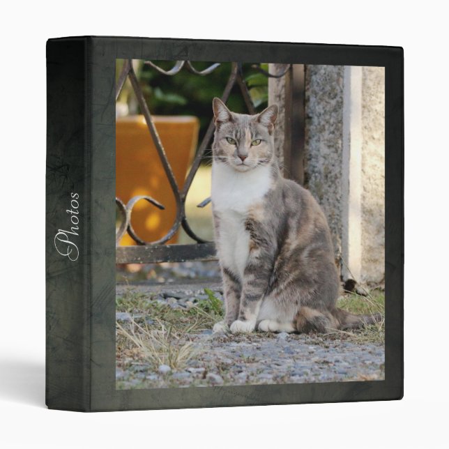 Photo cat , animals. 3 ring binder (Front/Spine)