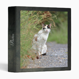 Photo cat , animals. 3 ring binder