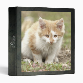 Photo cat , animals. 3 ring binder