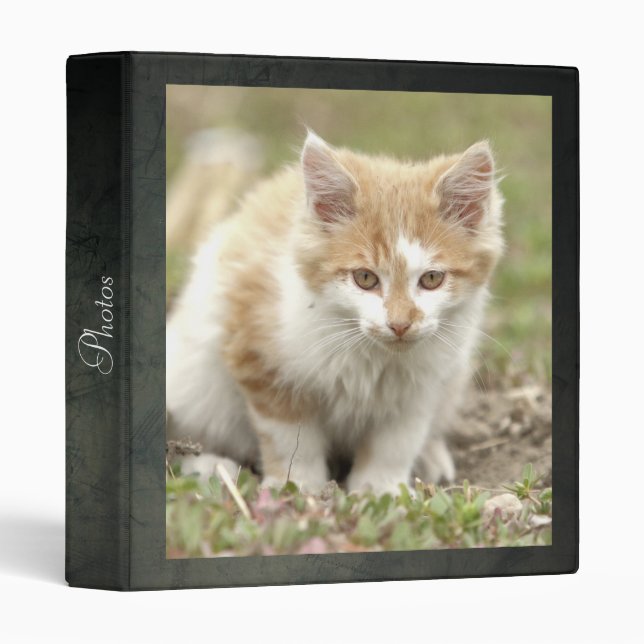 Photo cat , animals. 3 ring binder (Front/Spine)