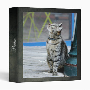 Photo cat , animals. 3 ring binder
