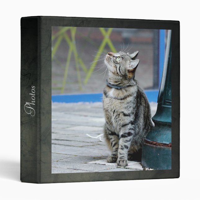 Photo cat , animals. 3 ring binder (Front/Spine)