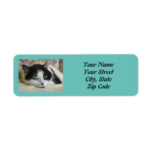 Photo Cat Label