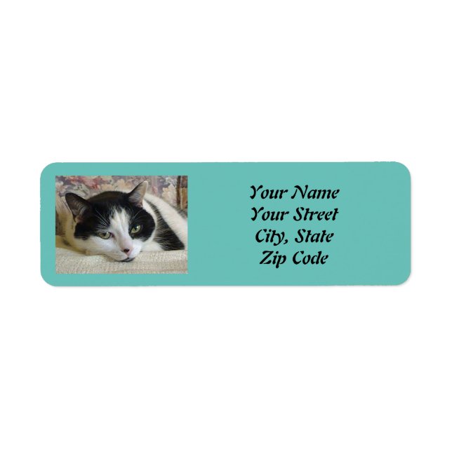 Photo Cat  Label (Front)