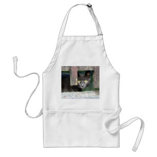 Photo cat , pet , animals 0008. adult apron
