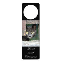 Photo cat , pet , animals 0072. door hanger Photo cat , pet , animals 0072. door hanger