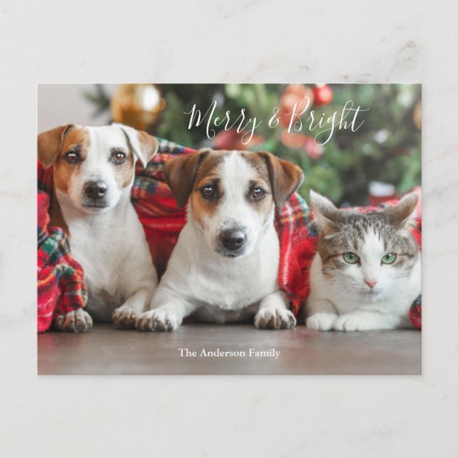 Photo Christmas  Holiday Postcard (Front)