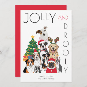 Photo Christmas Tree Funny Pet Holiday Card