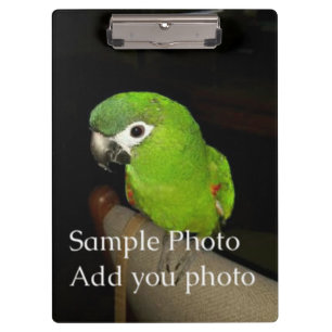 Photo Cllipboard (on both sides) Clipboard