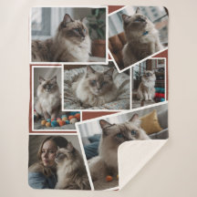 Photo cluster Brown - 7 scattered photos