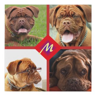 Photo Collage Any Color Background Dog Template Faux Canvas Print