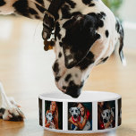 Photo Collage Cat Dog Family Pet Photomontage<br><div class="desc">Nine image photo collage pet bowl for cats and dogs.  Customize it by adding family pictures of your pet.</div>