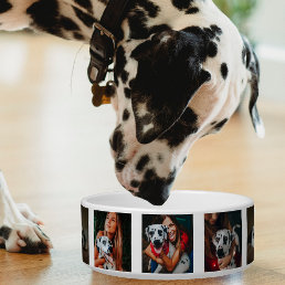 Photo Collage Cat Dog Family Pet Photomontage Bowl
