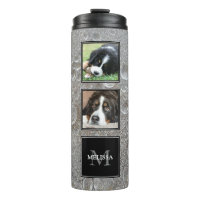 Photo collage family pets on ice frozen water