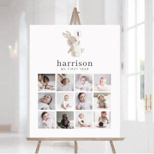 Photo Collage Foam Board - Bunny Balloon