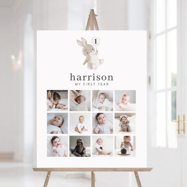 Photo Collage Foam Board - Bunny Balloon (Creator Uploaded)