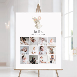 Photo Collage Foam Board - Bunny Pink Balloon