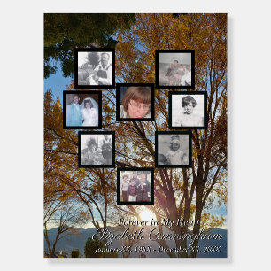 Photo Collage Heart Fall Trees and Sunset Foam Board