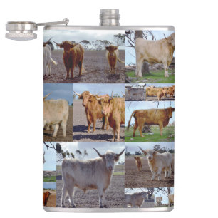 Photo Collage Of Highland Cows, Hip Flask