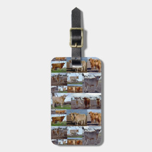 Photo Collage Of Highland Cows, Luggage Tag