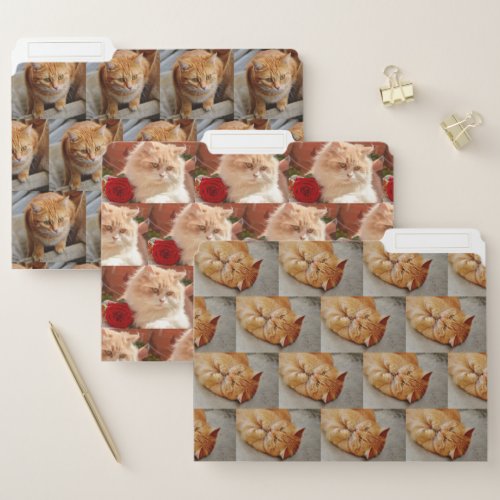 Photo Collage Pet Family Template File Folder